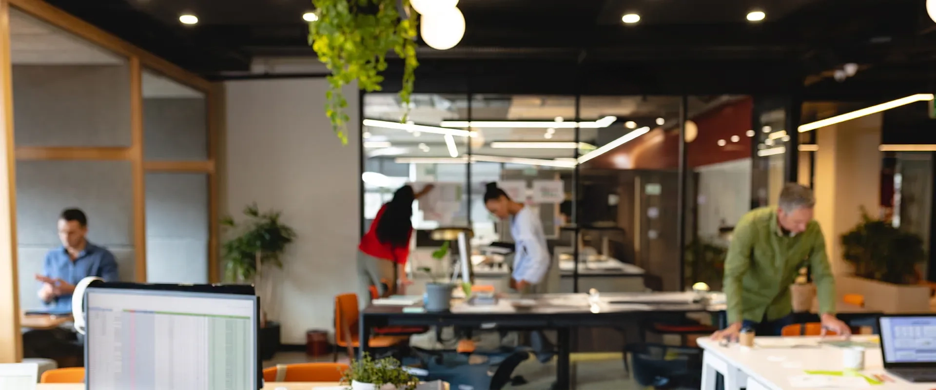 South African IT Job Listings | Paracon